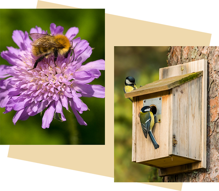 Collage of images showing the various key features the proposals aim to deliver