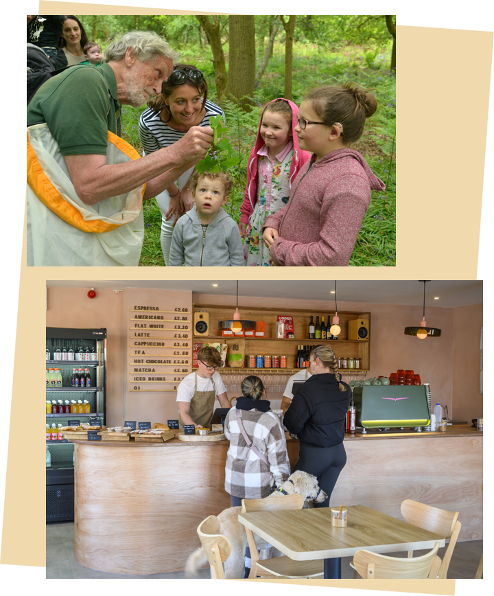 Collage of images showing the various benefits the proposals aim to deliver