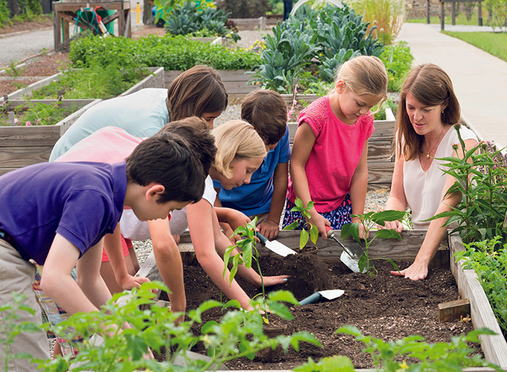 Image of adult and children tending to a vegetable patch